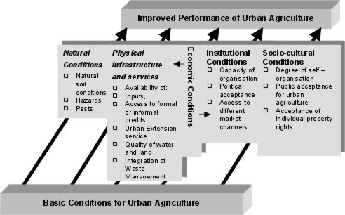 major factors support ua