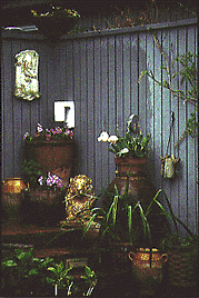 Flowers/pots