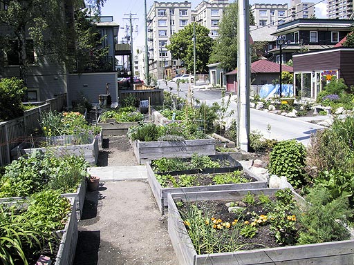 Mole gardens