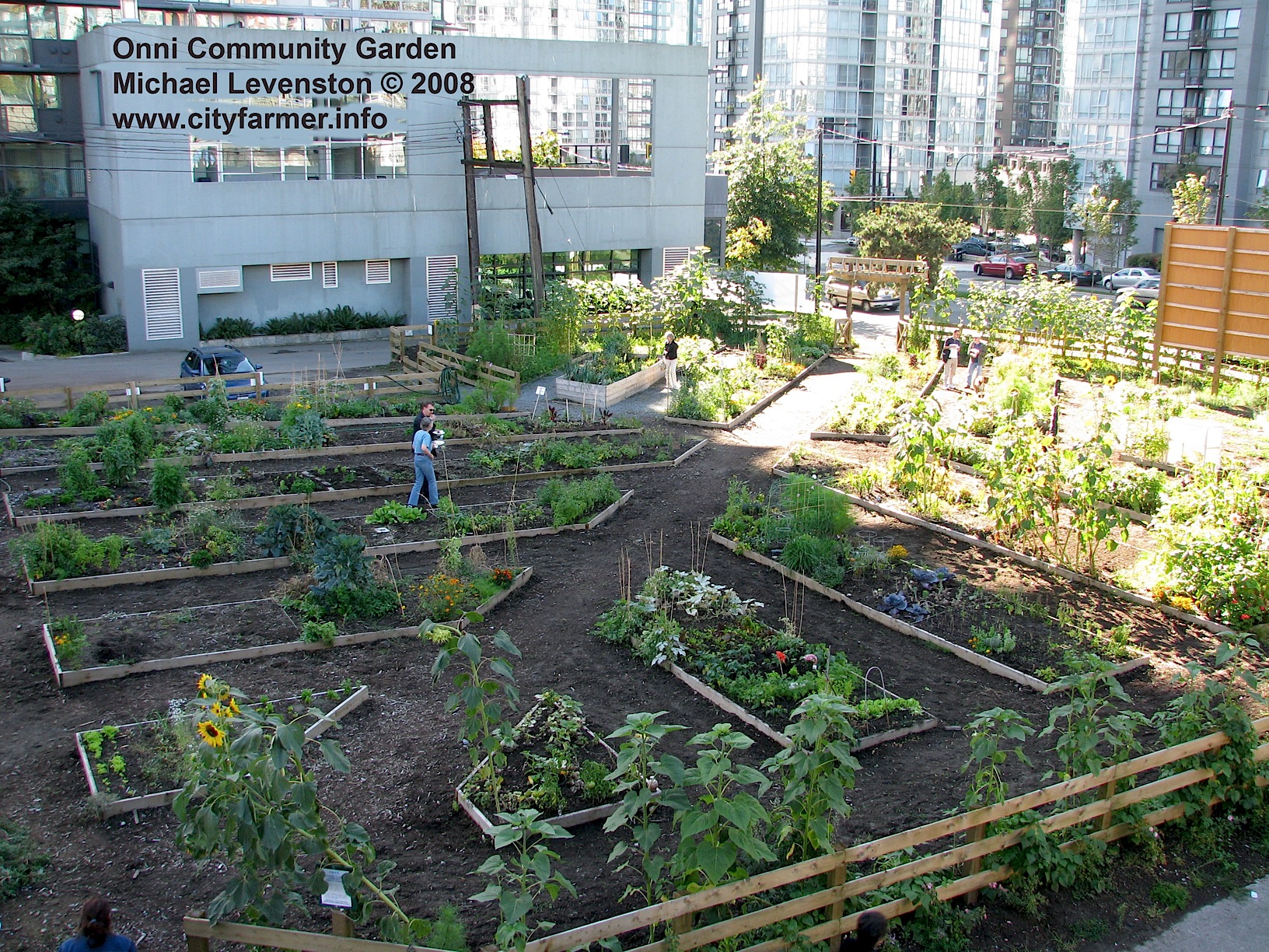 urban community