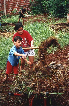 compost the weeds