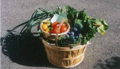 basket of veggies