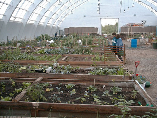 inside greenhouse